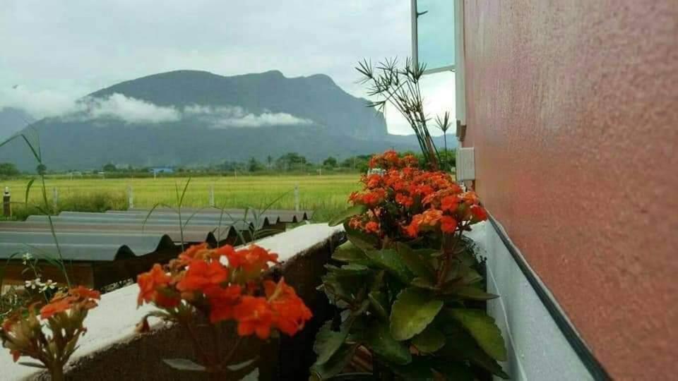 Holiday park Ban Thung Talay Mok Chiangdao Chiang Dao