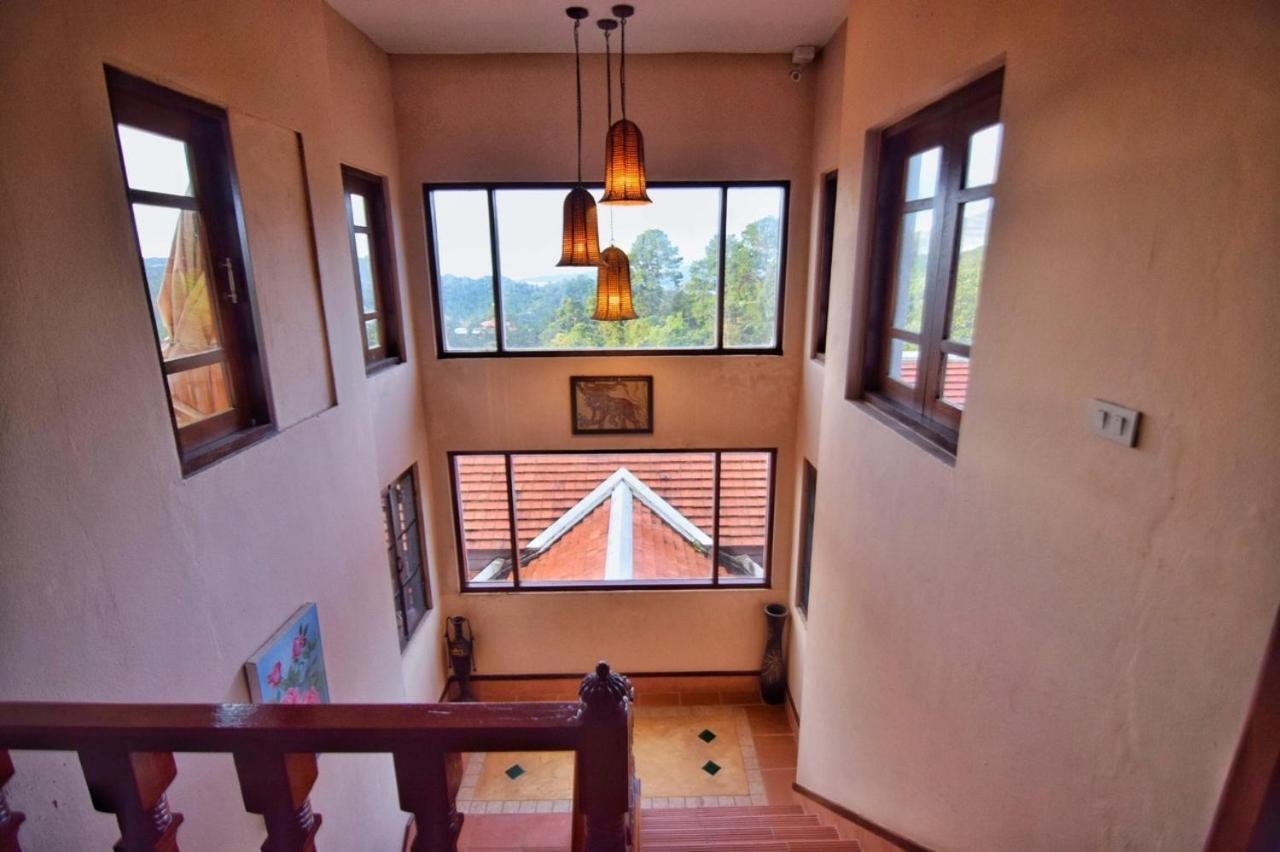 Phu Mork Dao Resort Pong Yaeng