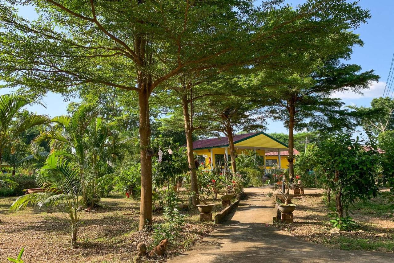 Country Nature