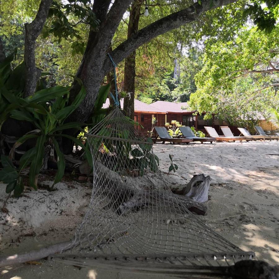 Coral Garden