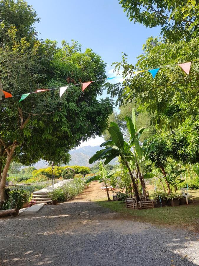 Resort Blue Mountain