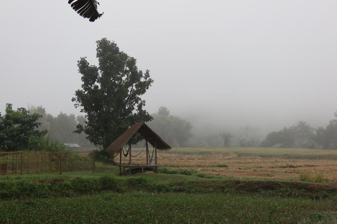 The Countryside