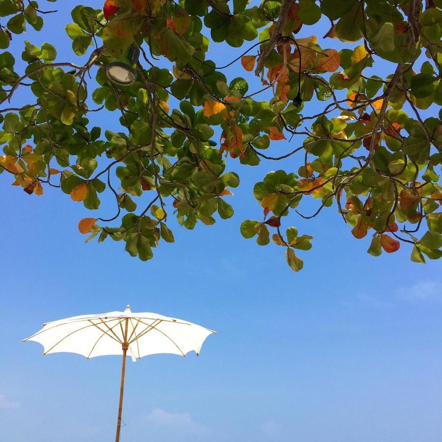 Ta-lay Time Kohmak 2*