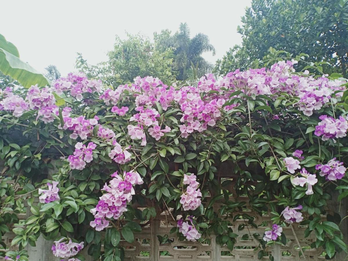 Guest house Parsakhome