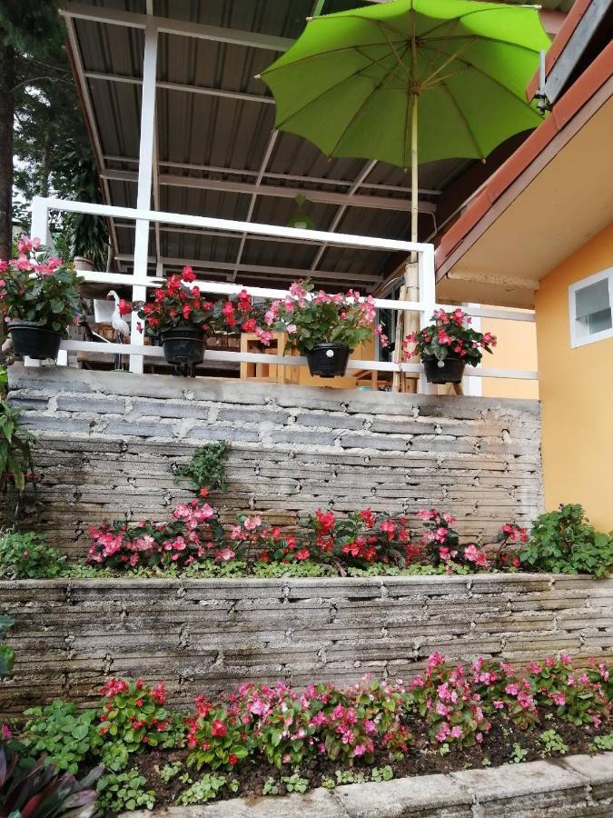 Bann Mai Sai Mhog Guest house