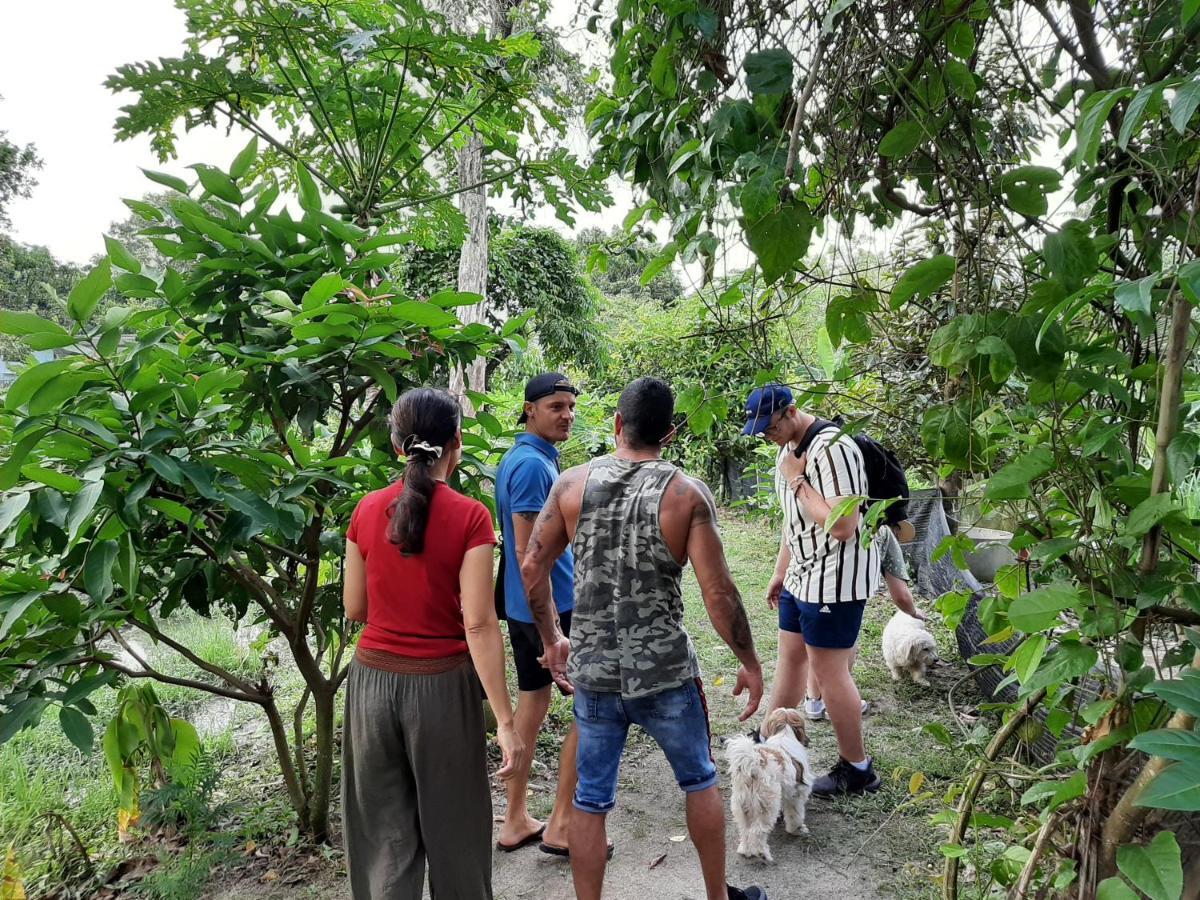 Resort Phangan Farm Stay Eco Organic Farming Ko Pha Ngan