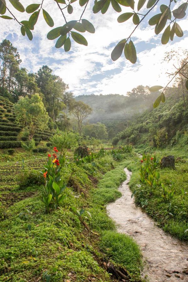 เลาลีฮิลล์รีสอร์ท Laulee Hill Chiang Rai