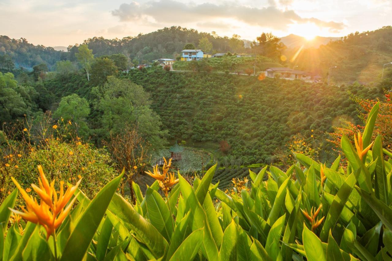 Resort เลาลีฮิลล์รีสอร์ท Laulee Hill *