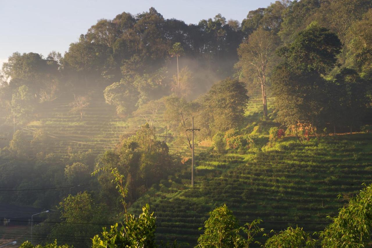 Resort เลาลีฮิลล์รีสอร์ท Laulee Hill Chiang Rai