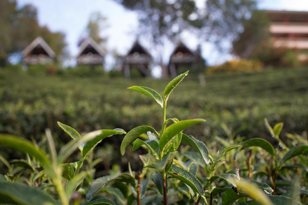 Resort เลาลีฮิลล์รีสอร์ท Laulee Hill *