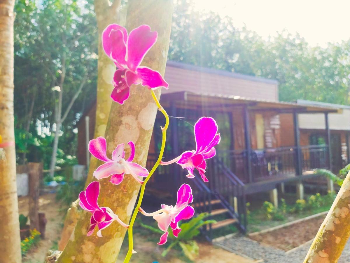 Kohmook Nurse House 2* Koh Mook