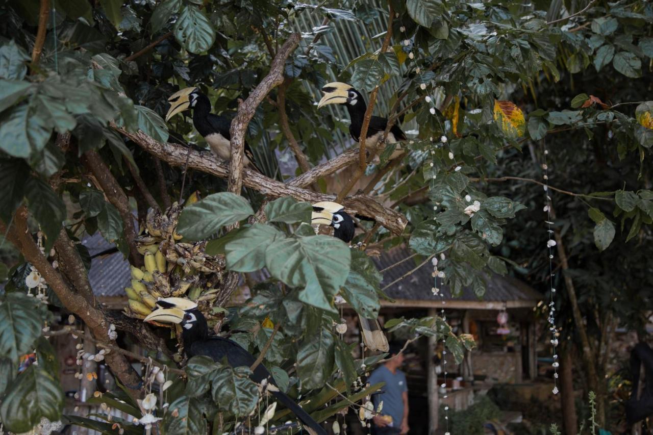 Guest house Hornbill
