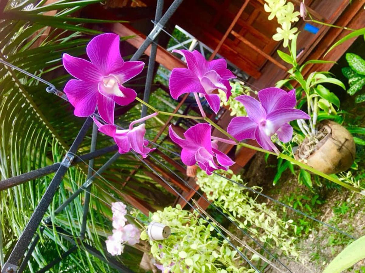 Lanta A Toi House Guest house