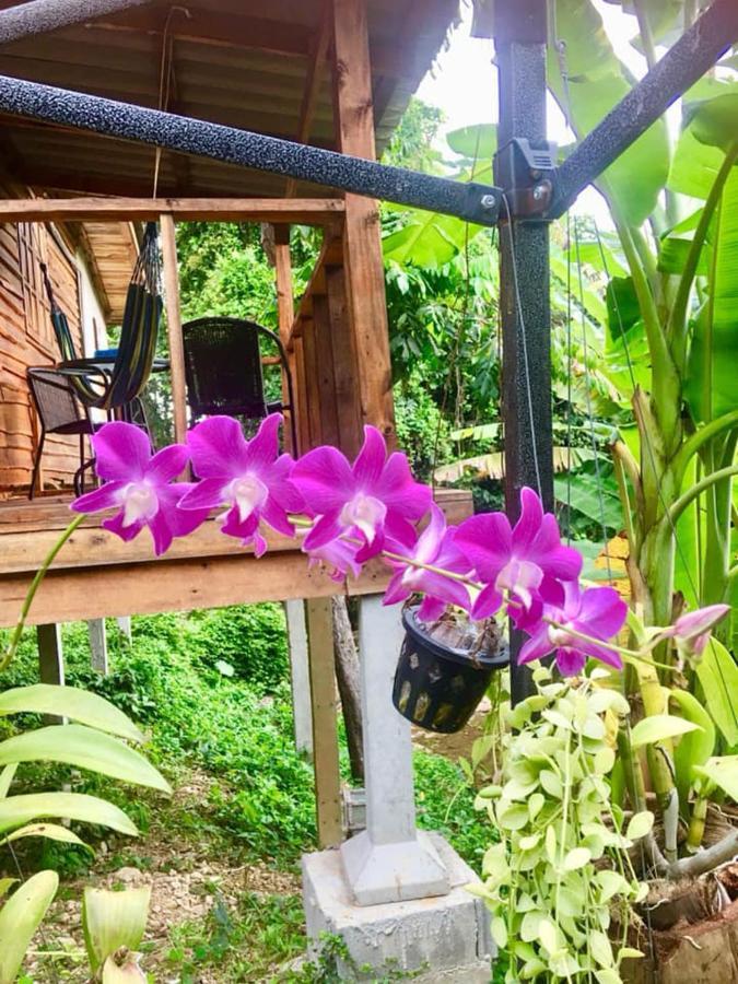 Lanta A Toi House Guest house