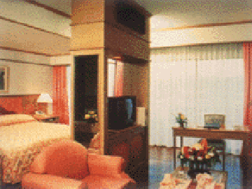 Hotel Rooks & 3*