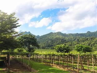 Granmonte Wine Phayayen