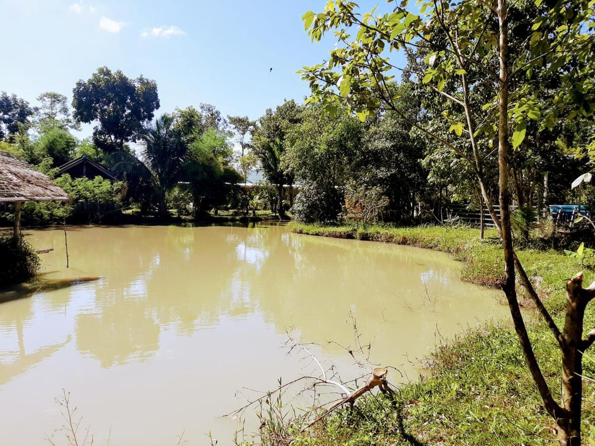Resort Phangan Farm Stay Eco Organic Farming Ko Pha Ngan