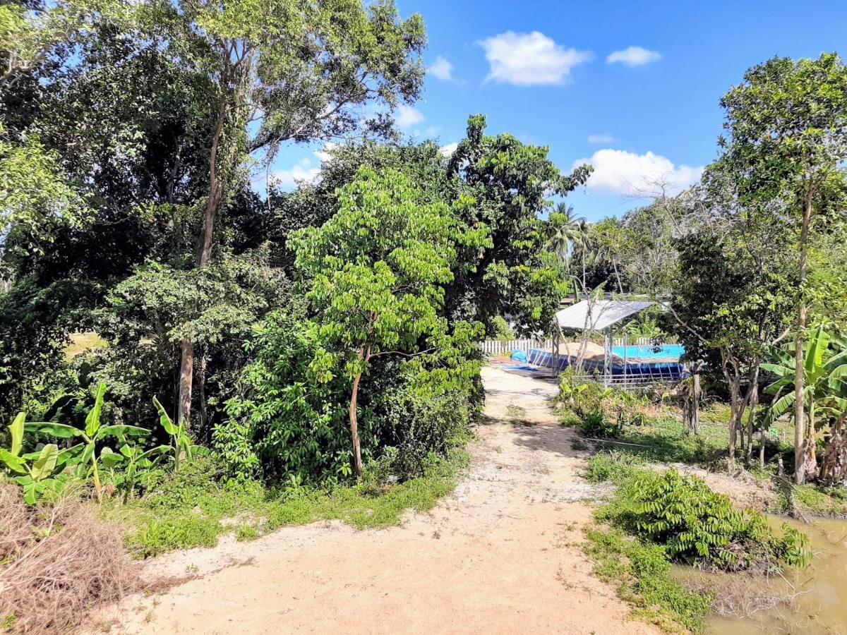 Resort Phangan Farm Stay Eco Organic Farming Ko Pha Ngan