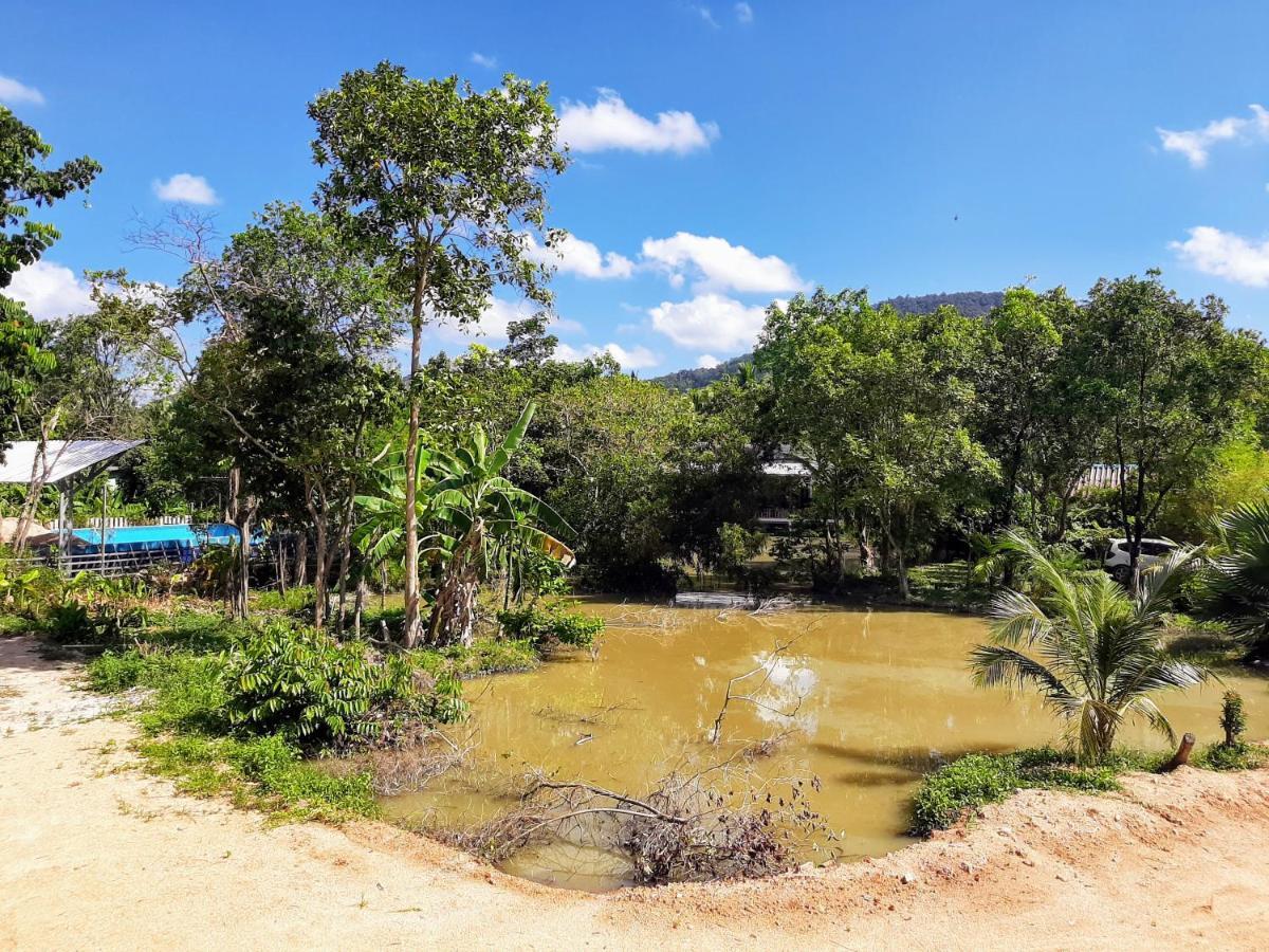 Phangan Farm Stay Eco Organic Farming