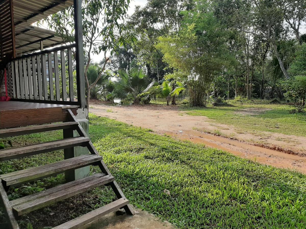 Phangan Farm Stay Eco Organic Farming
