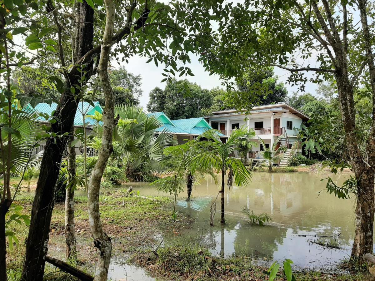 Phangan Farm Stay Eco Organic Farming
