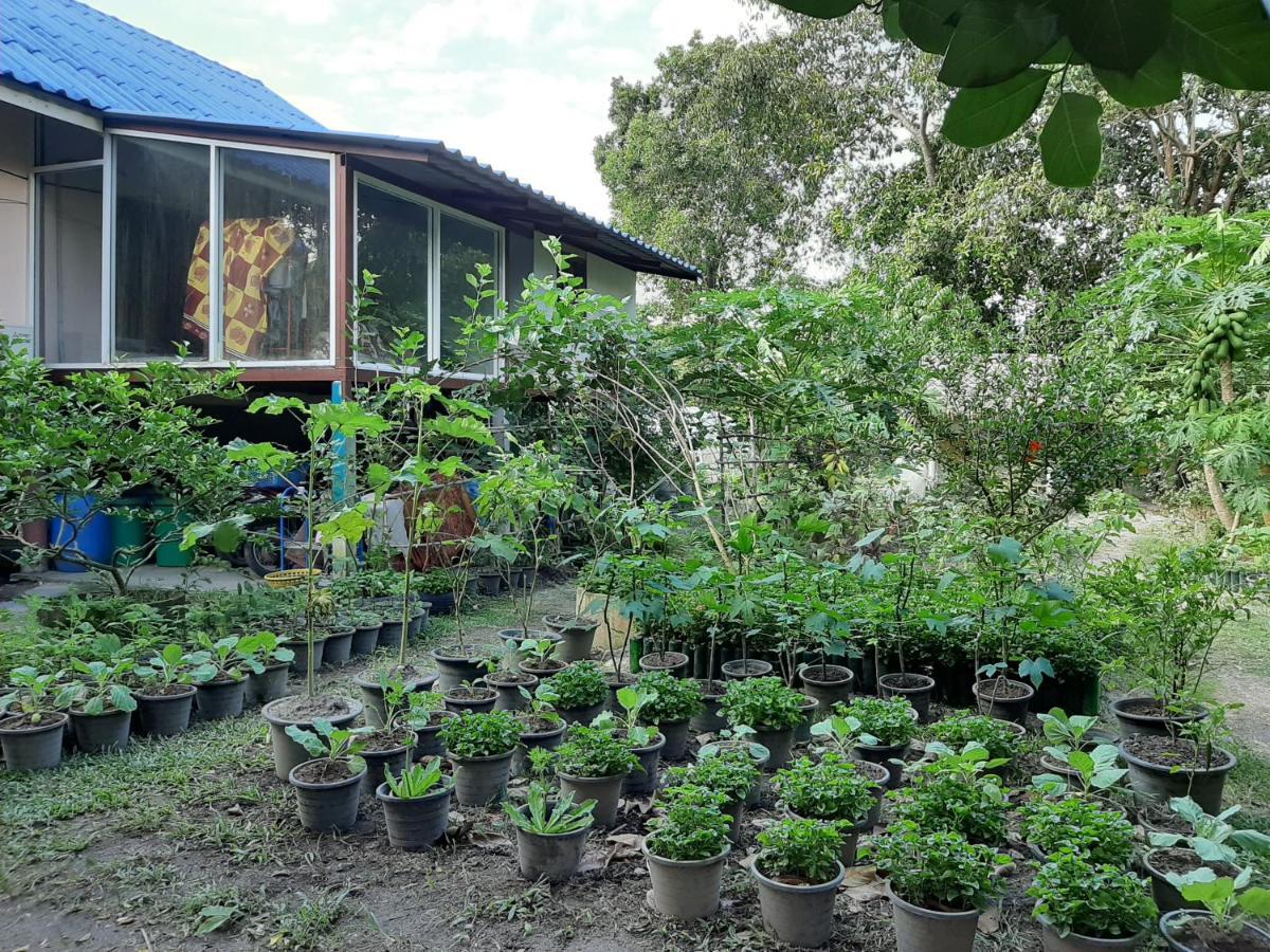 Phangan Farm Stay Eco Organic Farming Ko Pha Ngan