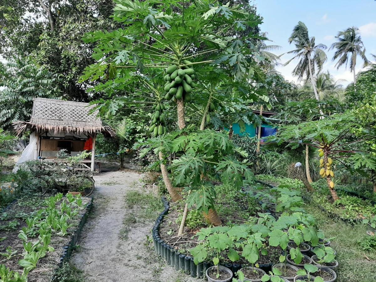 Phangan Farm Stay Eco Organic Farming 2* Ko Pha Ngan