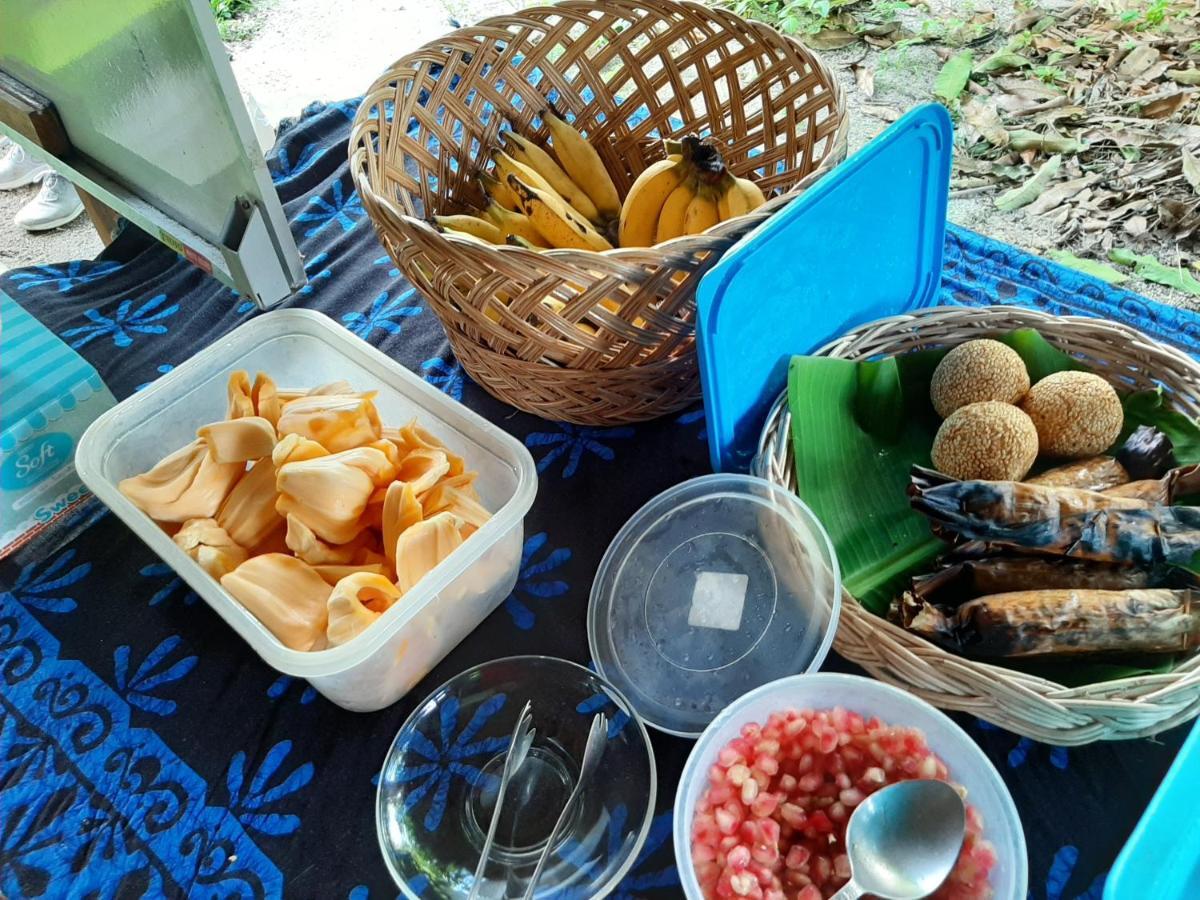 Resort Phangan Farm Stay Eco Organic Farming Ko Pha Ngan