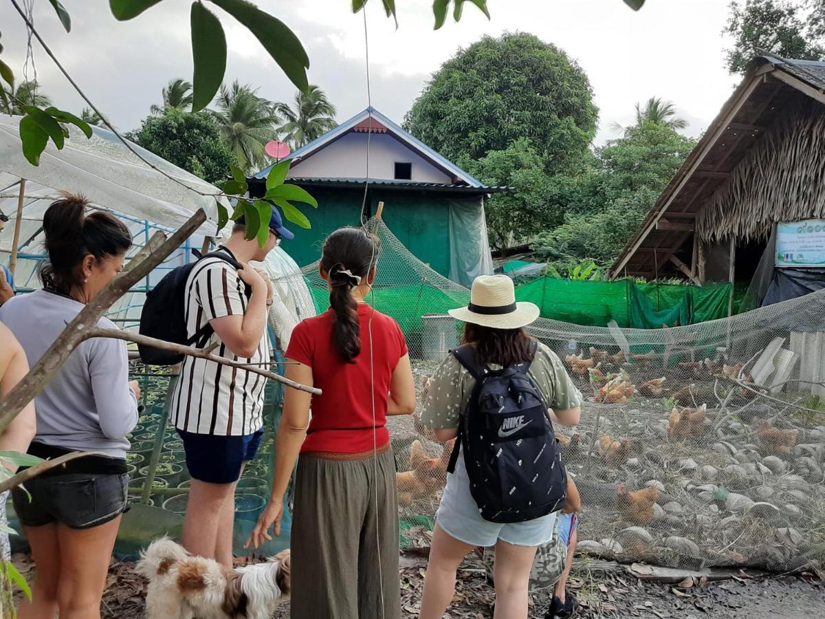 Resort Phangan Farm Stay Eco Organic Farming 2*