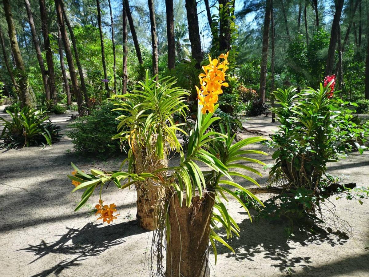Hapla Guest house Koh Kho Khao Island