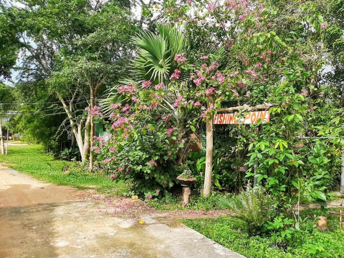 Resort Phangan Farm Stay Eco Organic Farming 2*