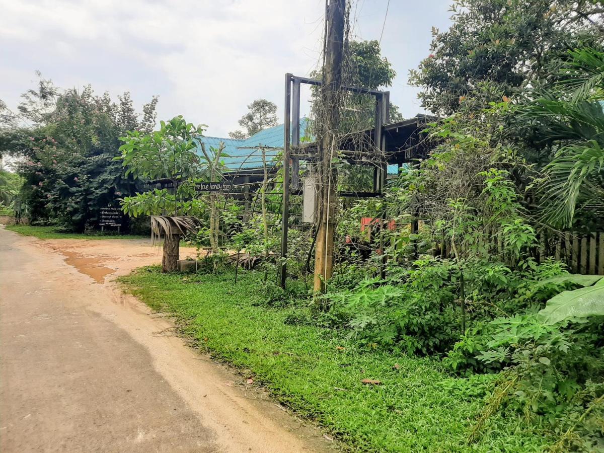 Phangan Farm Stay Eco Organic Farming Resort Ko Pha Ngan