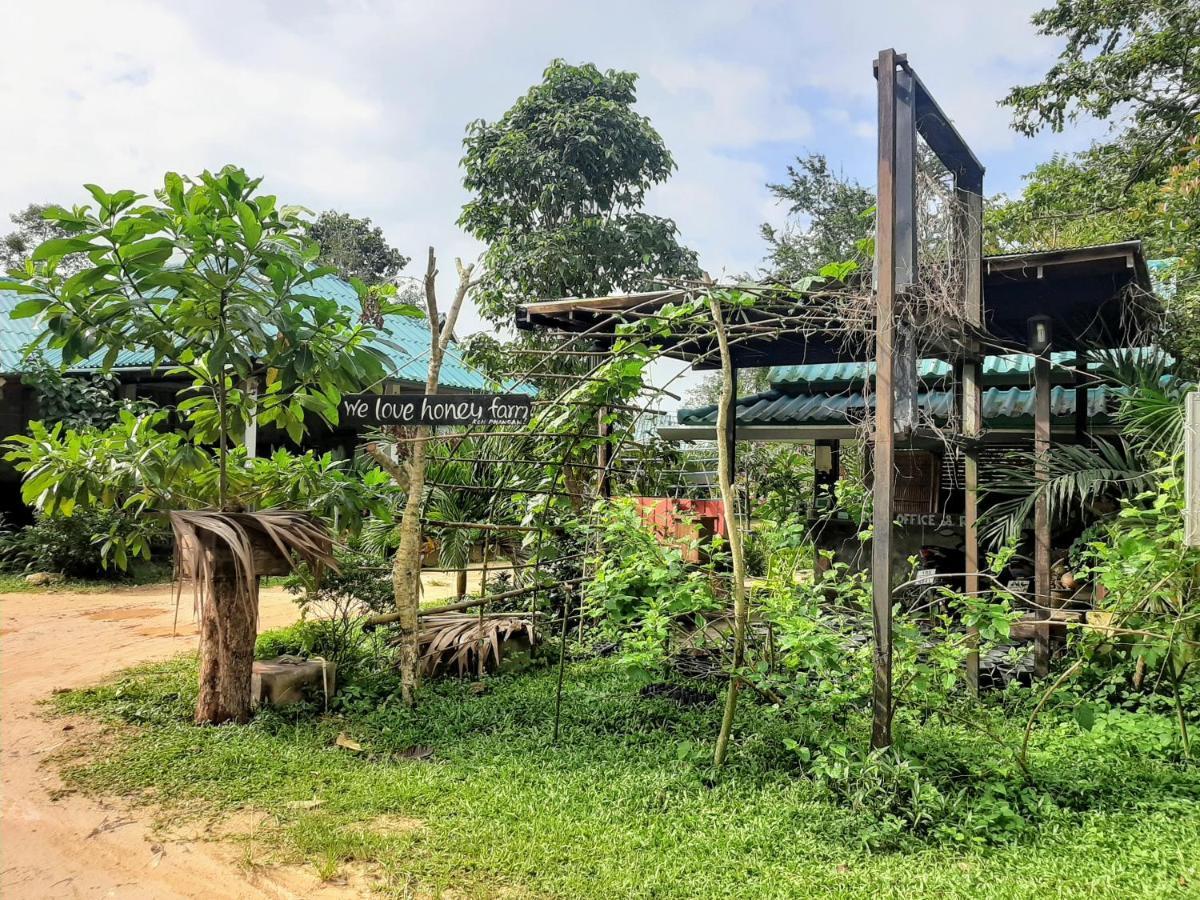 Phangan Farm Stay Eco Organic Farming