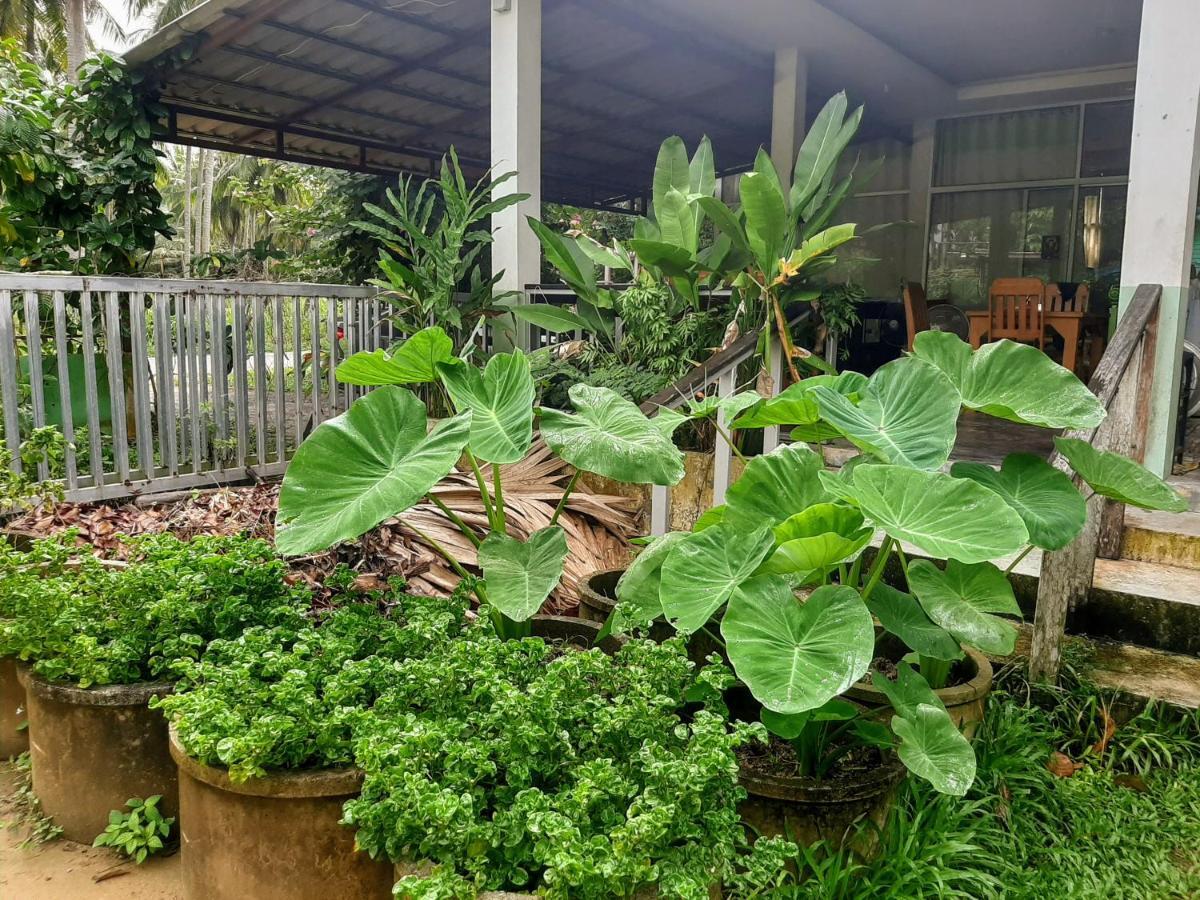 Resort Phangan Farm Stay Eco Organic Farming Ko Pha Ngan