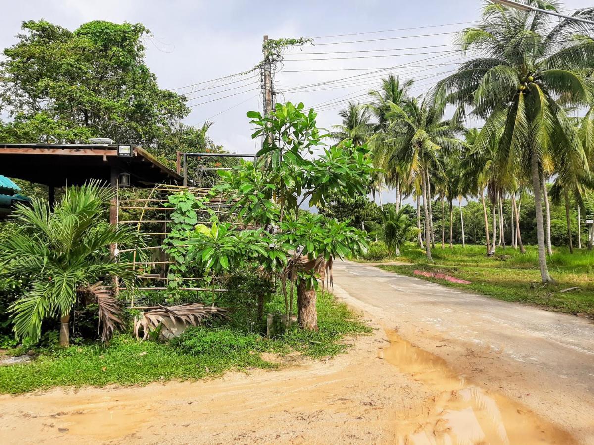 Phangan Farm Stay Eco Organic Farming