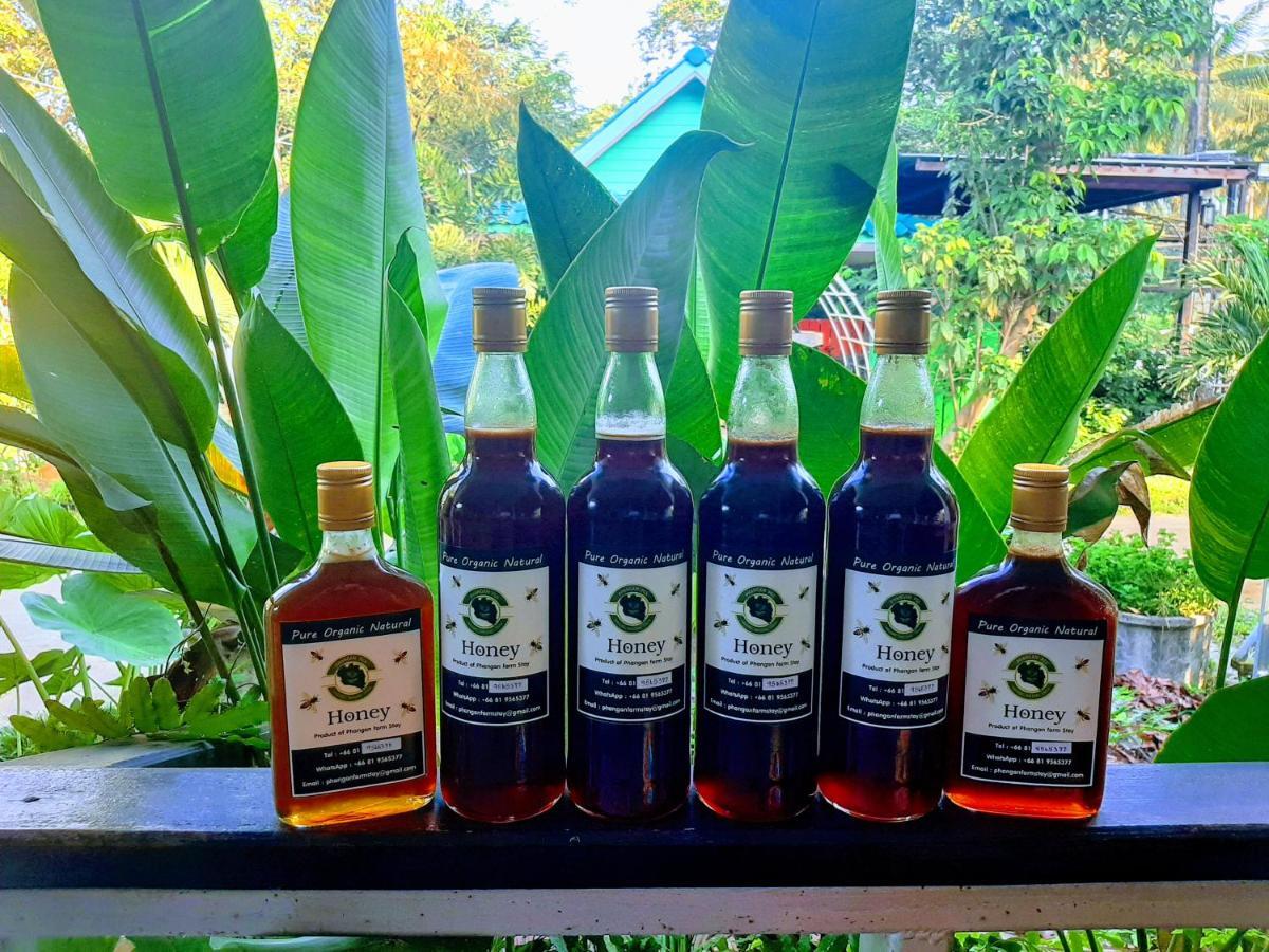 Resort Phangan Farm Stay Eco Organic Farming