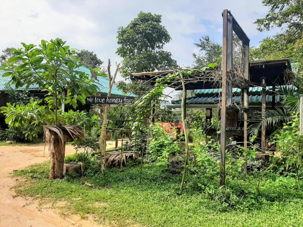 Phangan Farm Stay Eco Organic Farming