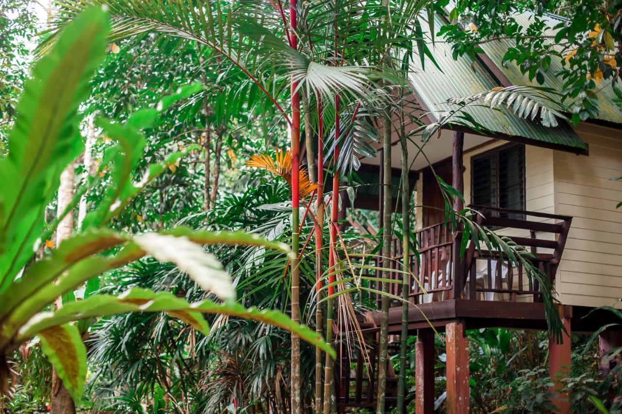 Resort The Vatika And