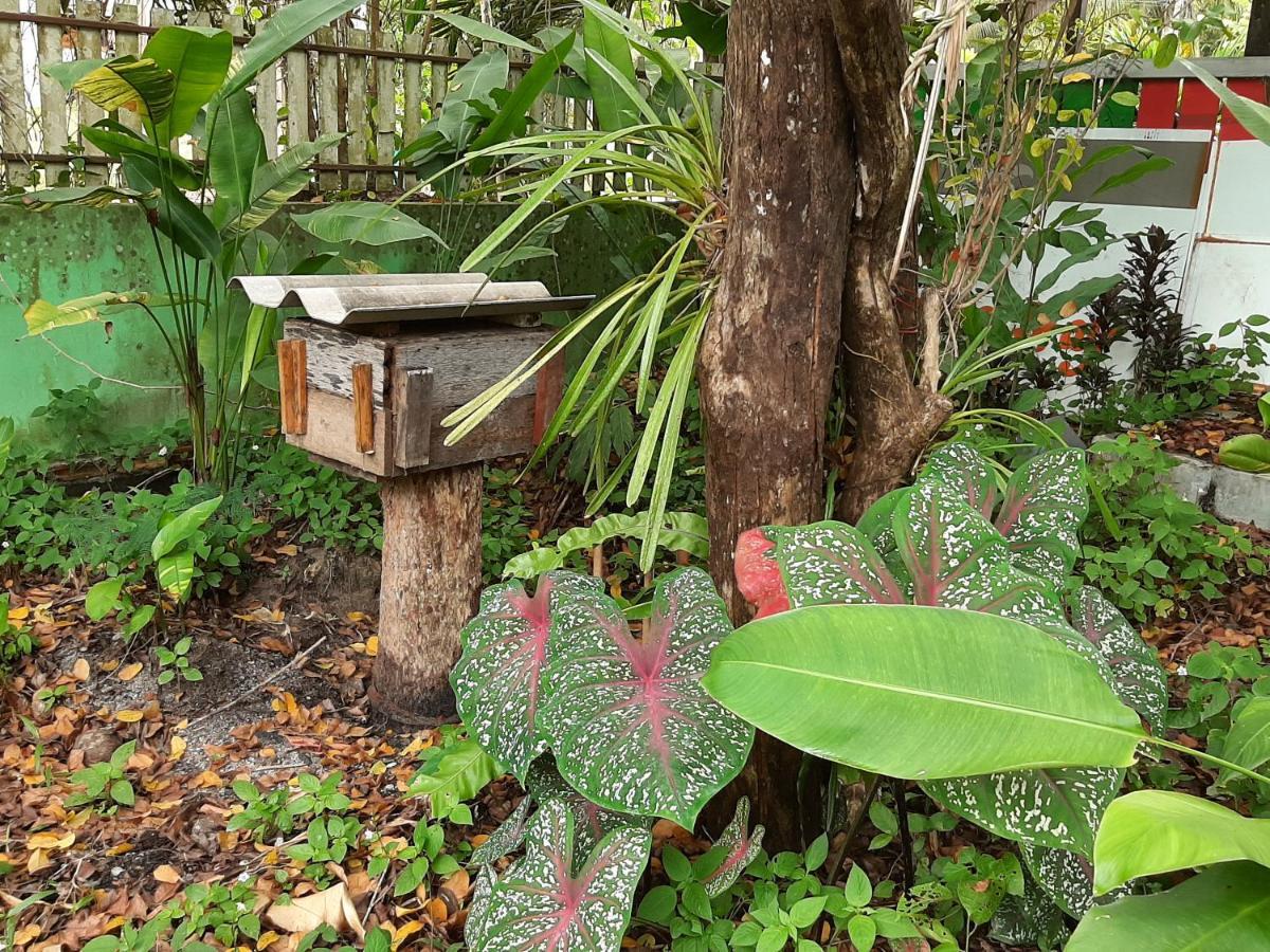 Phangan Farm Stay Eco Organic Farming Resort Ko Pha Ngan