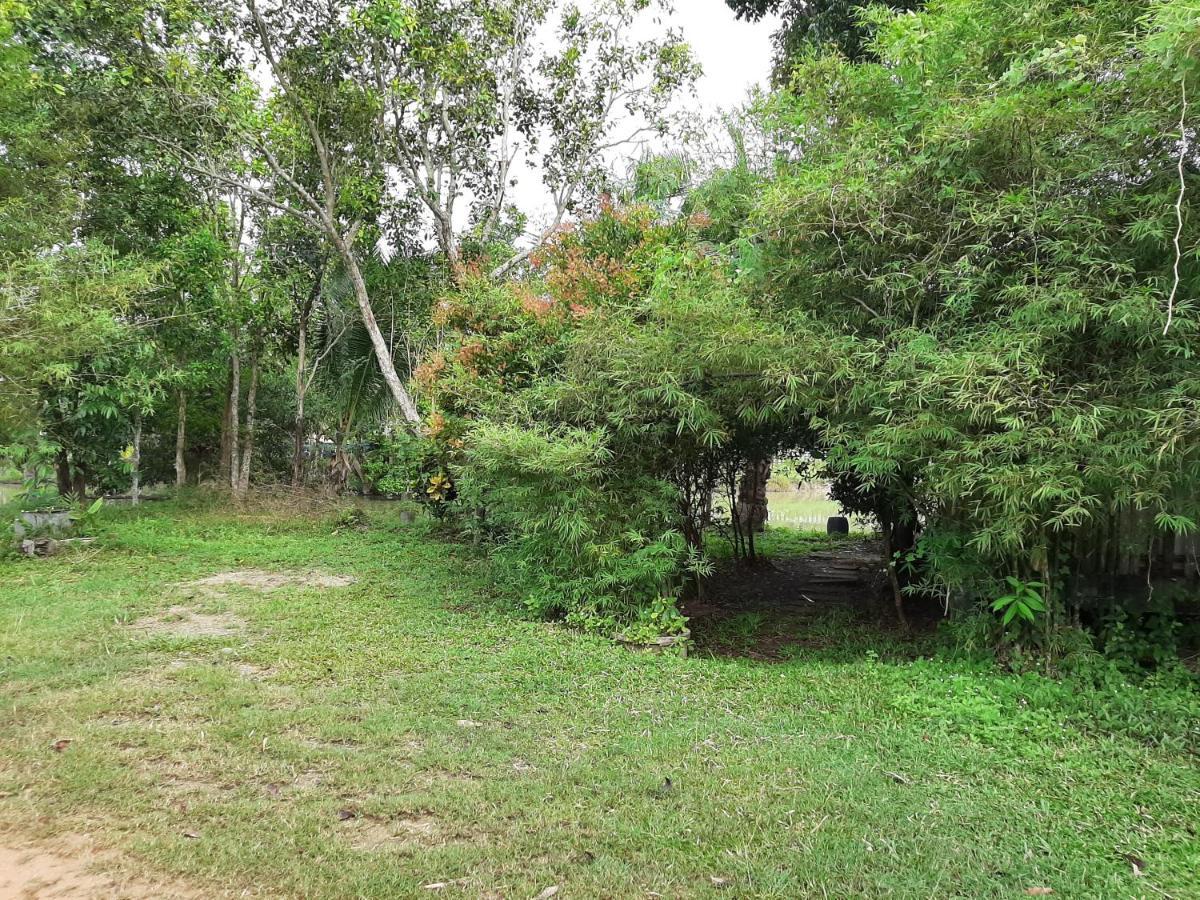 Phangan Farm Stay Eco Organic Farming Resort