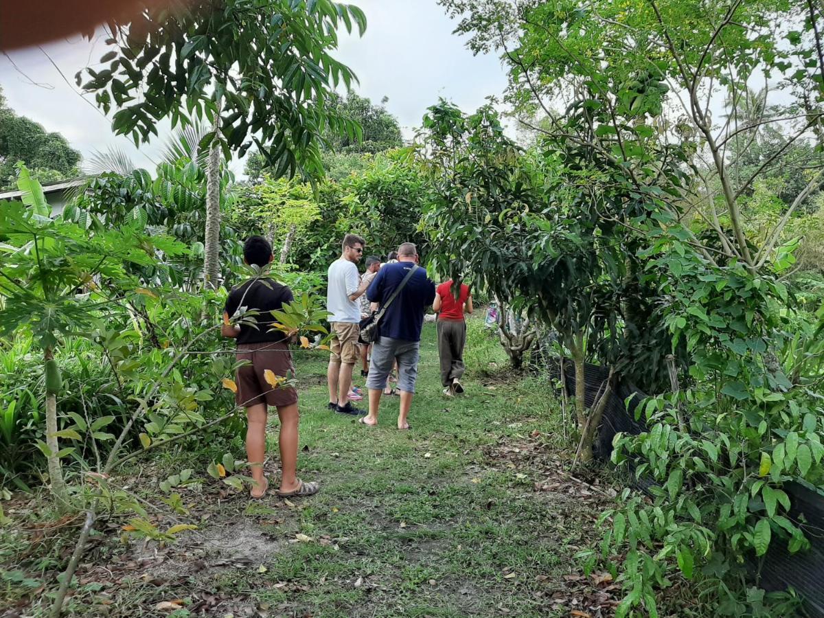 Phangan Farm Stay Eco Organic Farming 2* Ko Pha Ngan