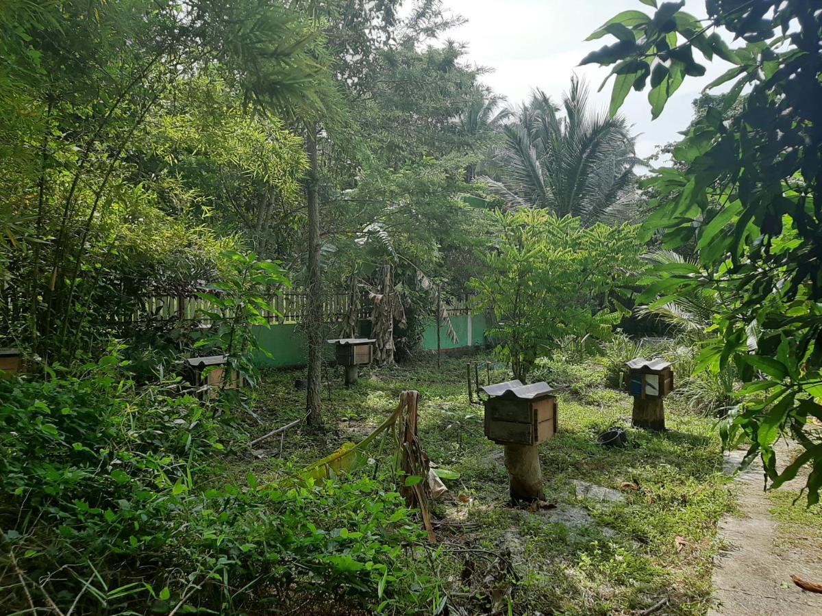 Phangan Farm Stay Eco Organic Farming Resort Ko Pha Ngan