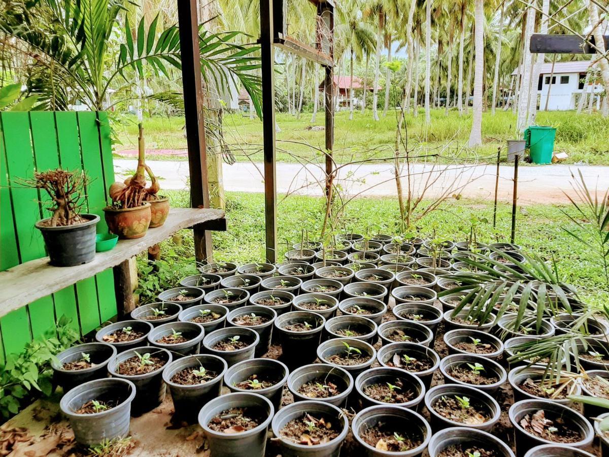 Phangan Farm Stay Eco Organic Farming 2*