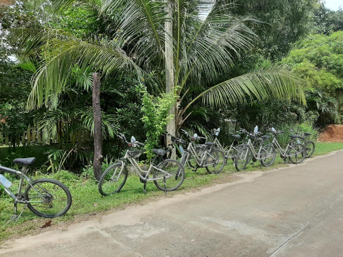 Phangan Farm Stay Eco Organic Farming Resort