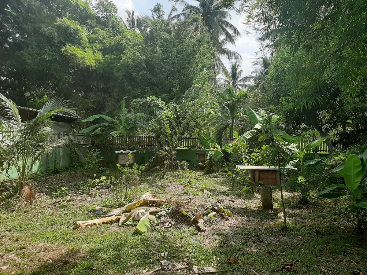 Phangan Farm Stay Eco Organic Farming Resort 2*