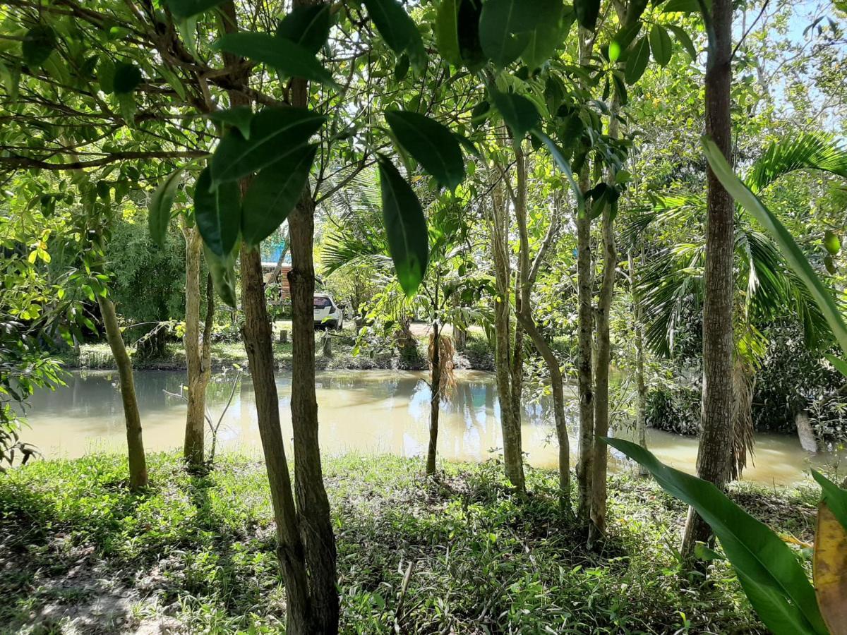Resort Phangan Farm Stay Eco Organic Farming