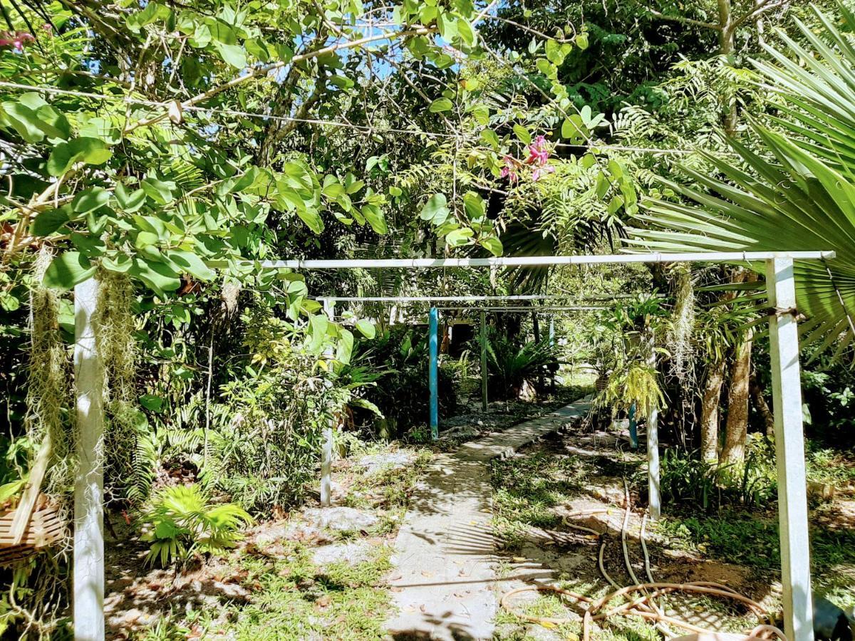 Phangan Farm Stay Eco Organic Farming 2*
