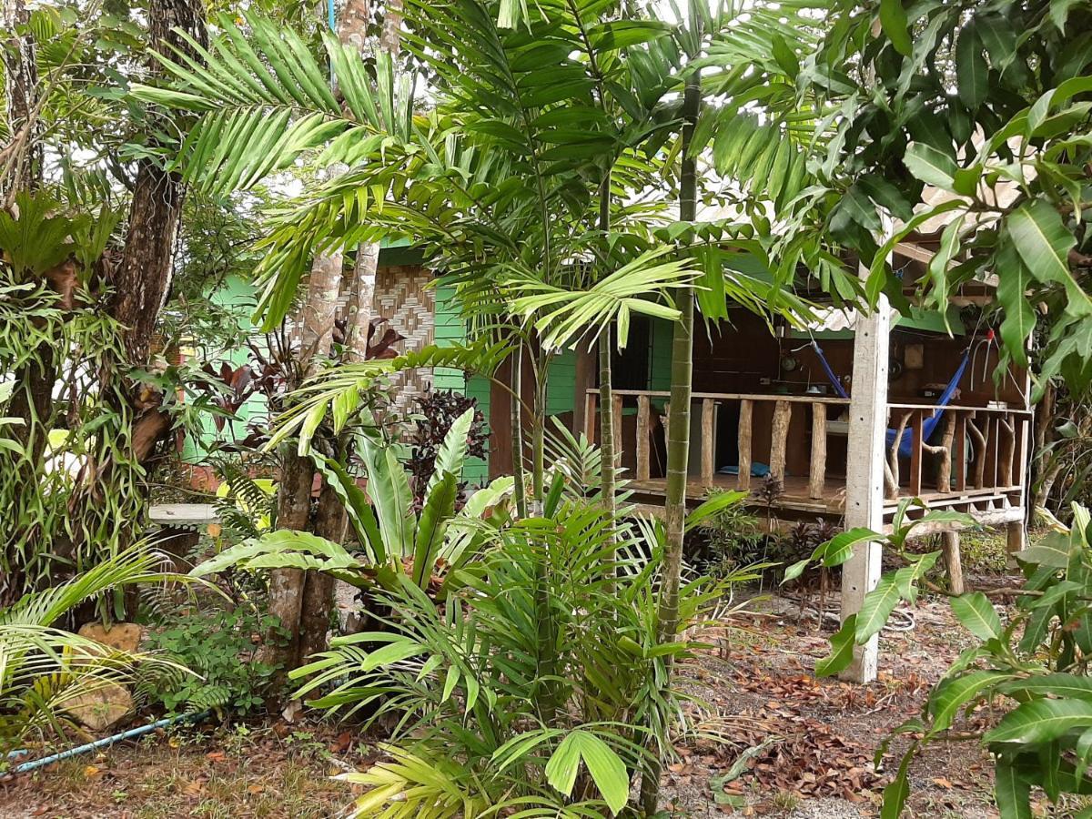 Phangan Farm Stay Eco Organic Farming Resort Ko Pha Ngan
