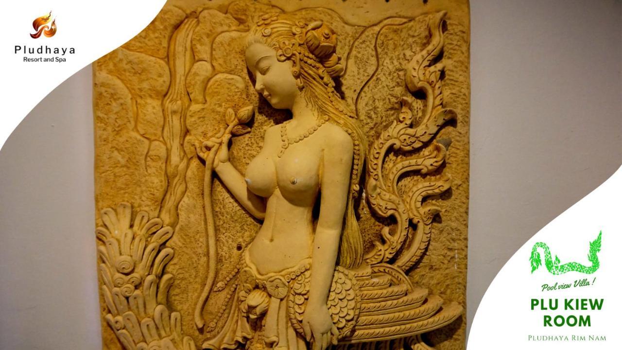 Pludhaya &