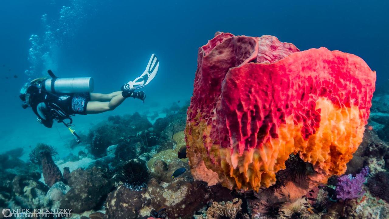 Forra Dive Sunrise Beach Hotel Koh Lipe